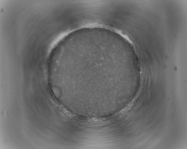 X0000070341311200607072003