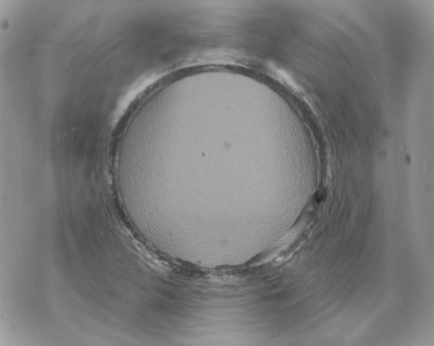 X0000070341312200607072003