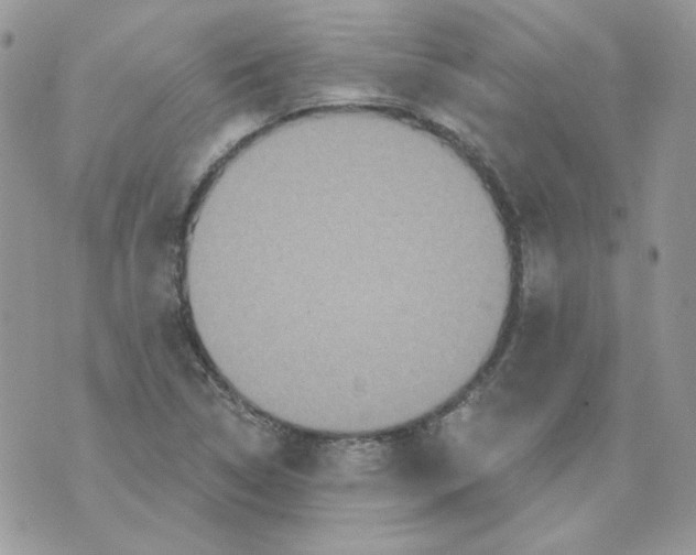 X0000070341314200607072003