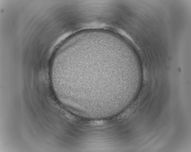 X0000070341315200607072003