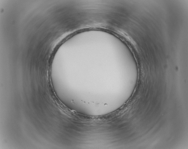 X0000070341316200607072003