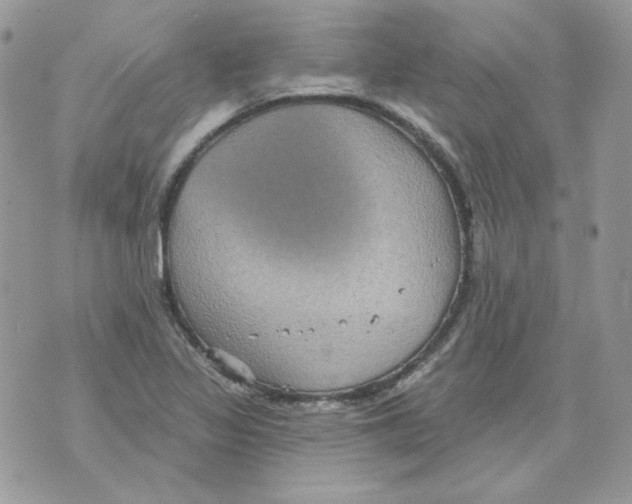 X0000070341317200607072003