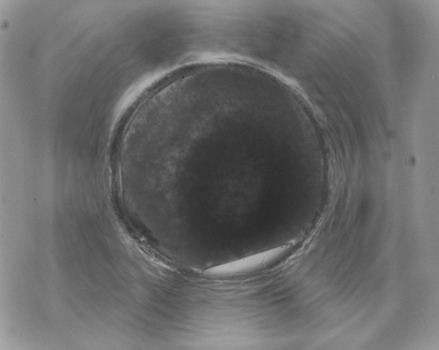 X0000070341319200607072003