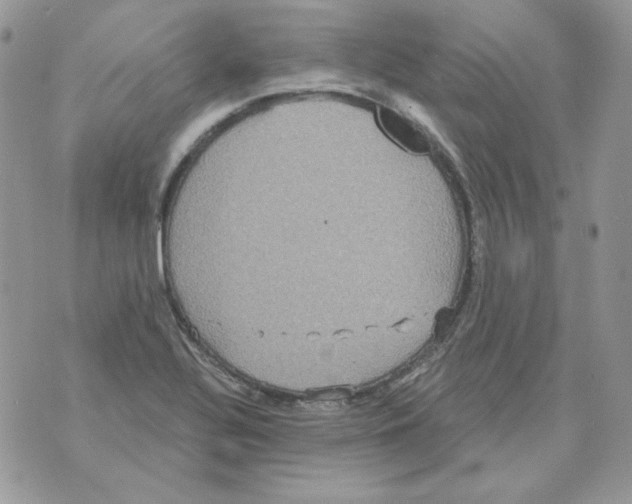 X0000070341320200607072003