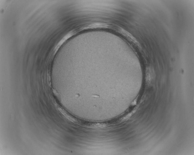 X0000070341321200607072003