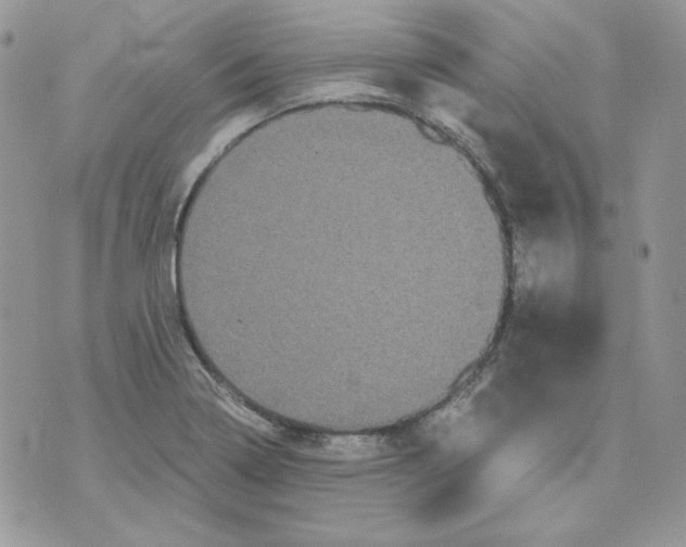 X0000070341322200607072003