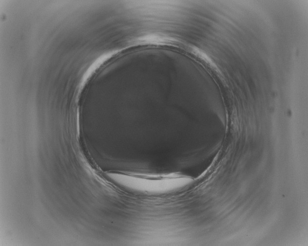 X0000070341323200607072003