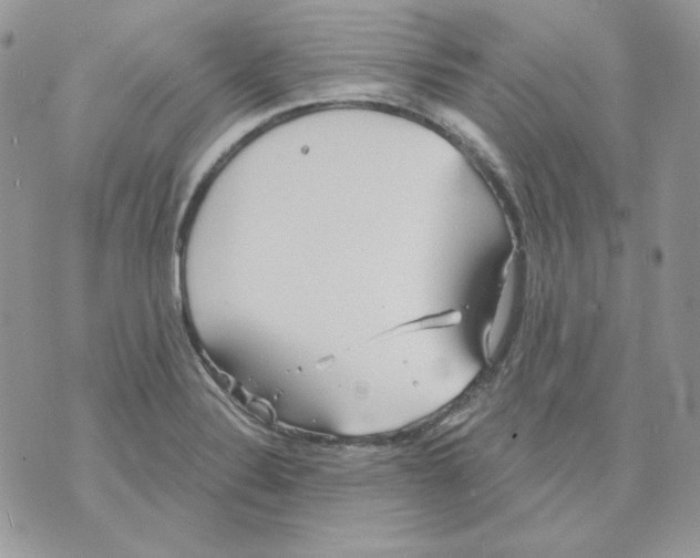 X0000070341324200607072003