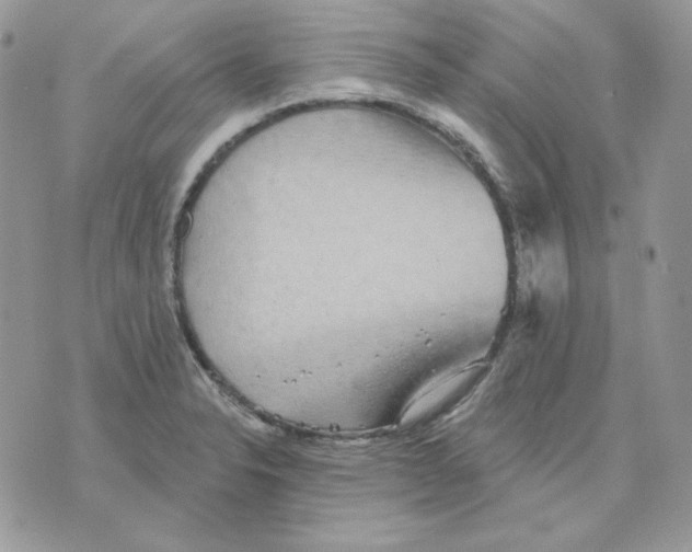 X0000070341326200607072003