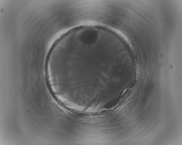 X0000070341327200607072003