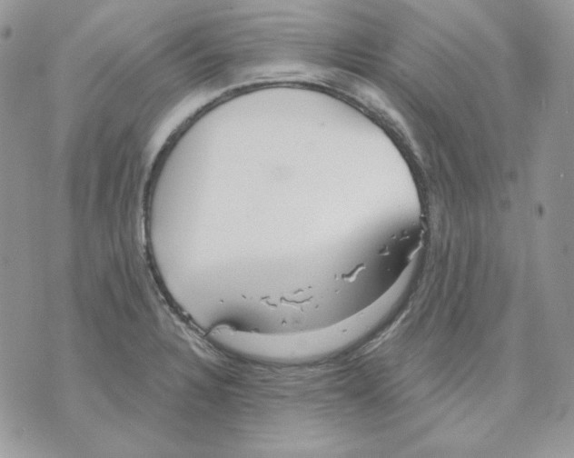 X0000070341328200607072003