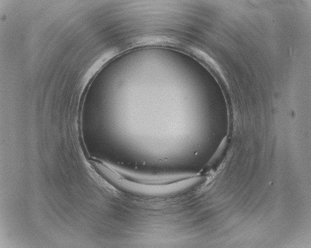 X0000070341330200607072003