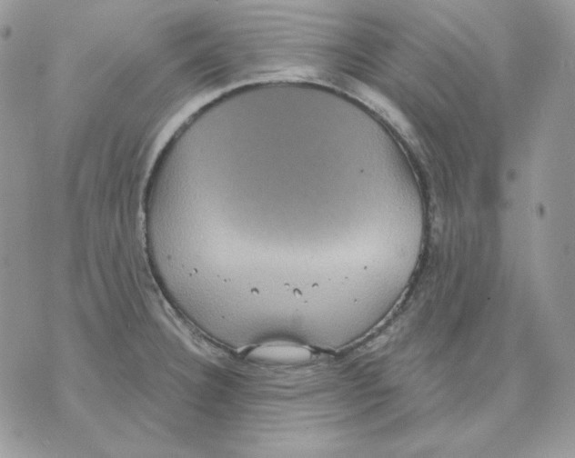 X0000070341332200607072003