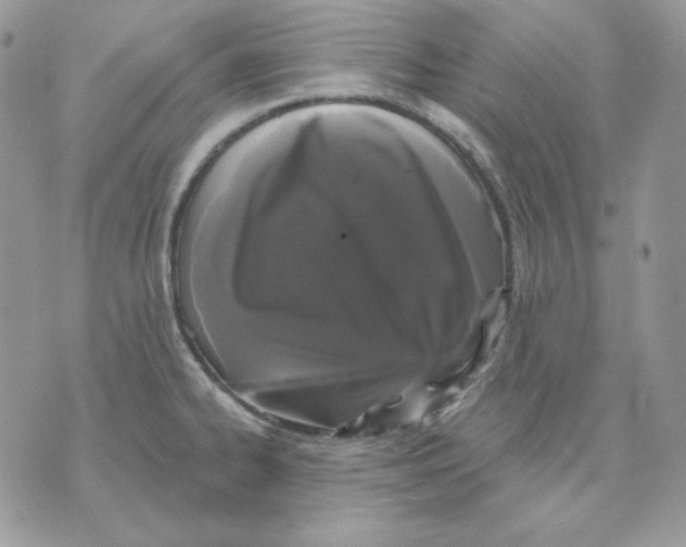 X0000070341334200607072003