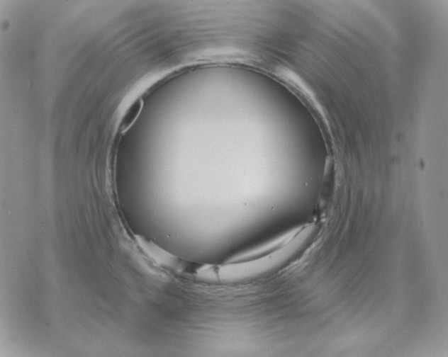 X0000070341336200607072003