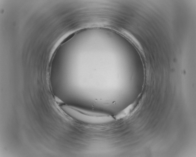 X0000070341340200607072003