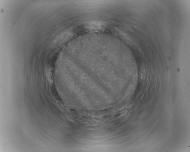 X0000070341346200607072002