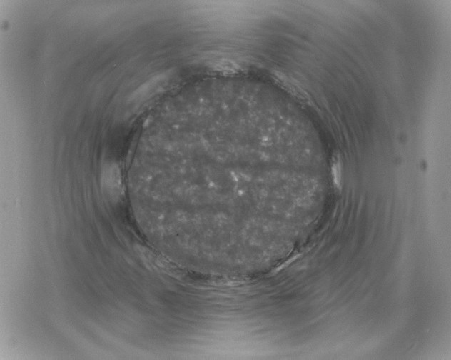 X0000070341347200607072002