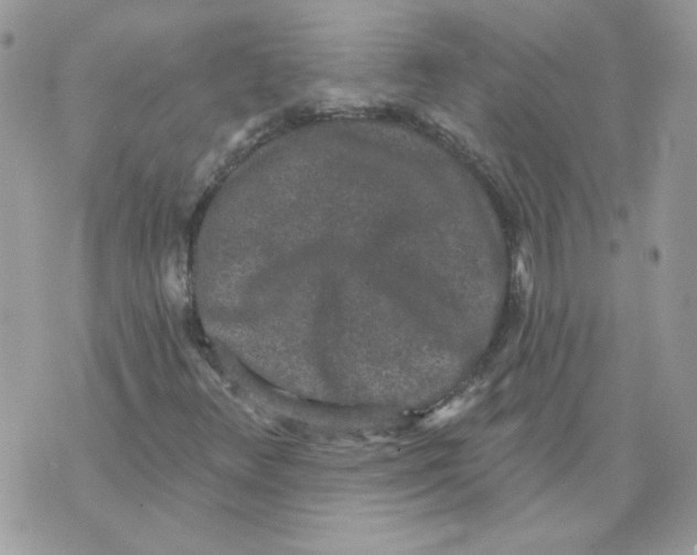 X0000070341348200607072002