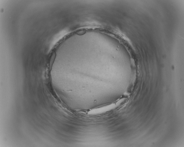 X0000070341352200607072002