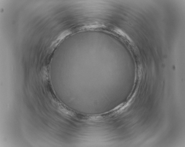 X0000070341353200607072002