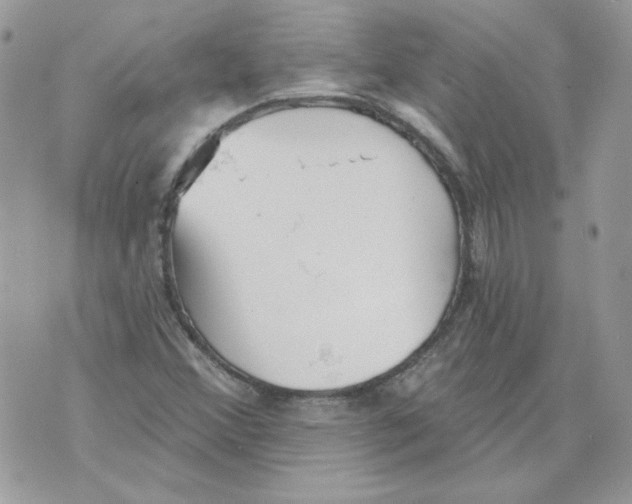 X0000070341356200607072002