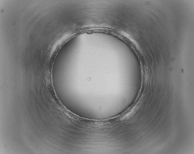 X0000070341357200607072002