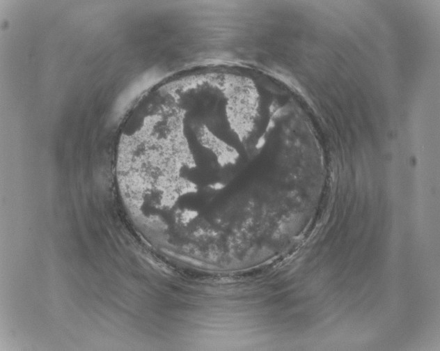 X0000070341359200607072002