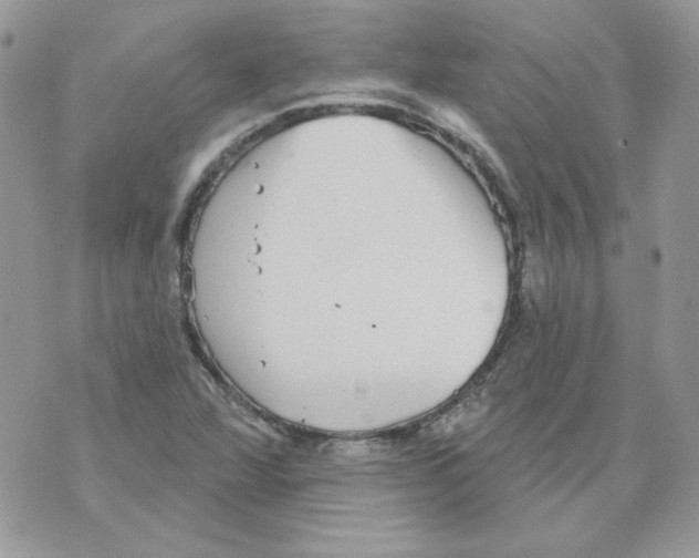 X0000070341360200607072002