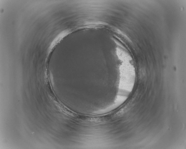 X0000070341362200607072002