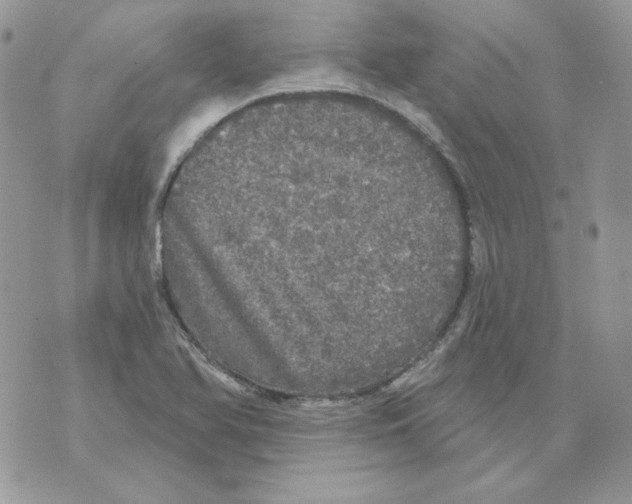 X0000070341366200607072002