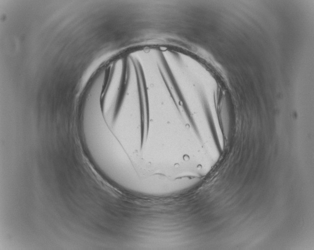 X0000070341368200607072002