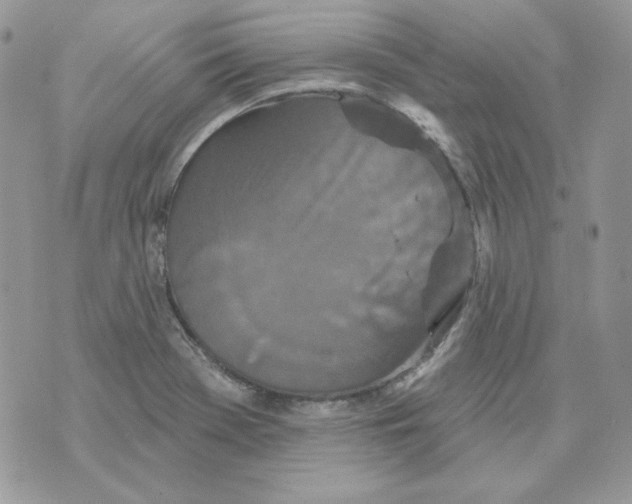 X0000070341369200607072002