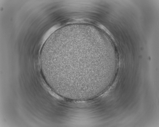 X0000070341370200607072002