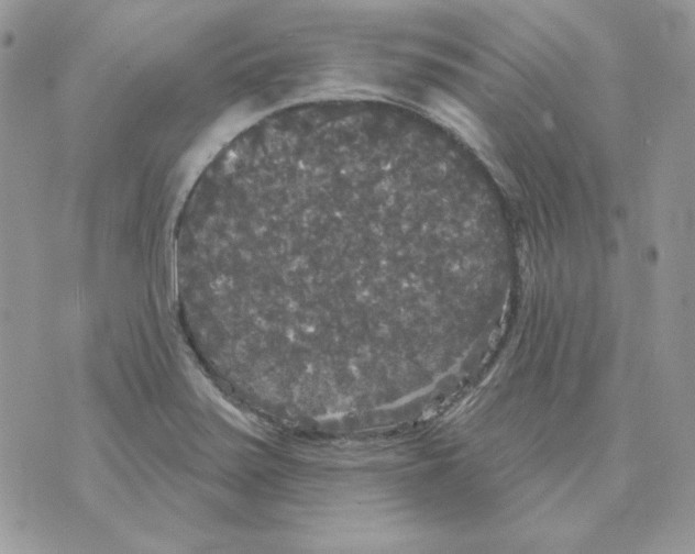 X0000070341371200607072002