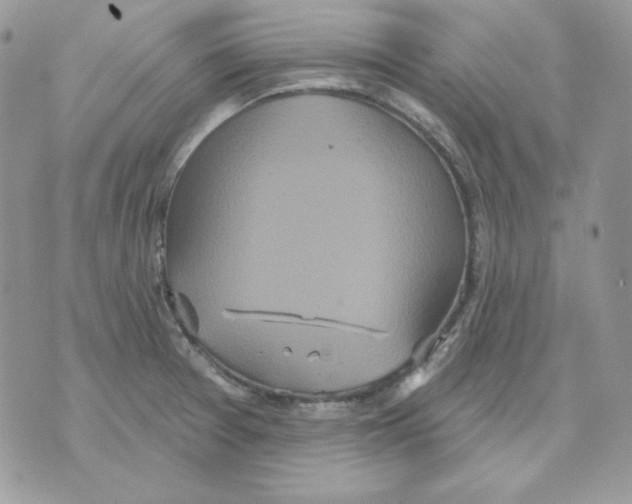 X0000070341377200607072002