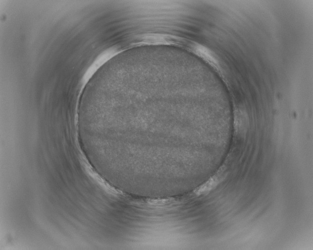 X0000070341378200607072002