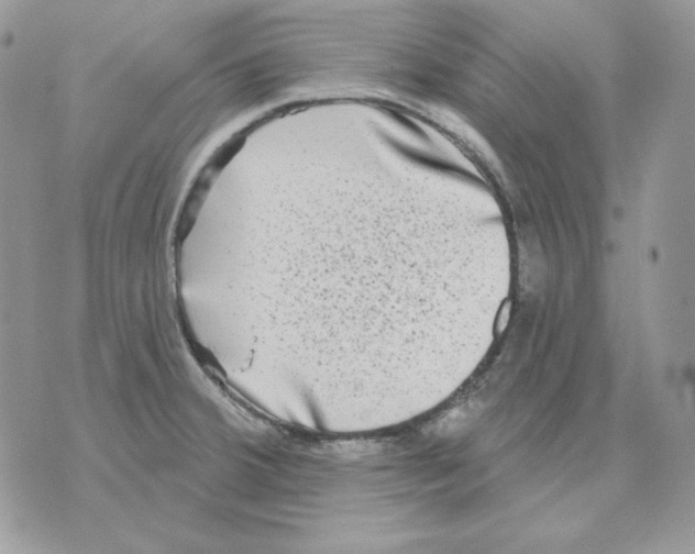 X0000070341380200607072002