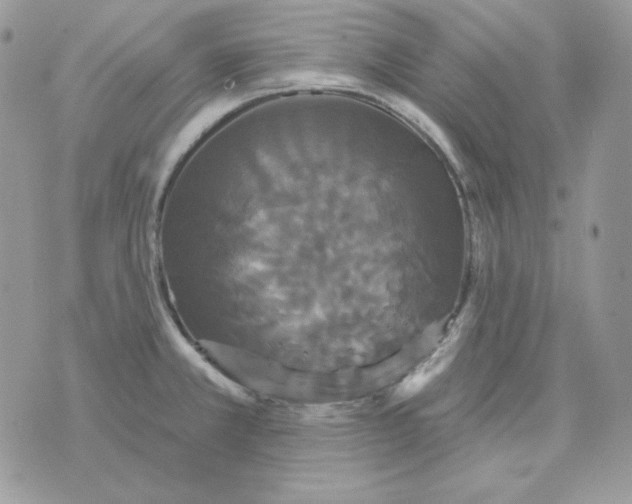 X0000070341381200607072002