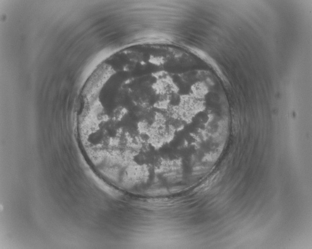 X0000070341383200607072002