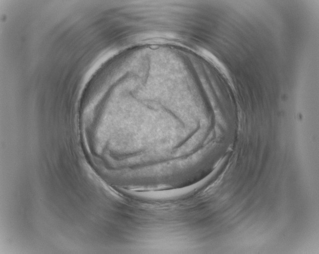 X0000070341384200607072002