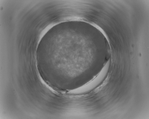 X0000070341389200607072002