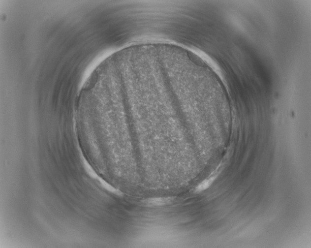 X0000070341390200607072002