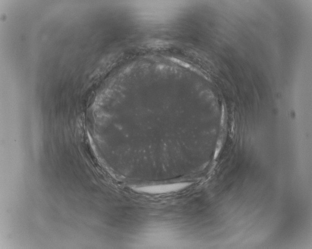 X0000070341397200607072001