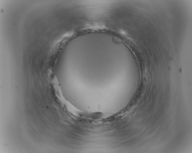 X0000070341398200607072001