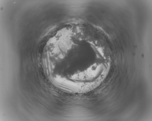 X0000070341399200607072001