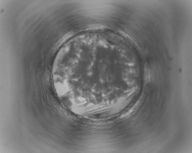 X0000070341401200607072001