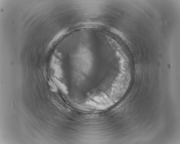 X0000070341403200607072001