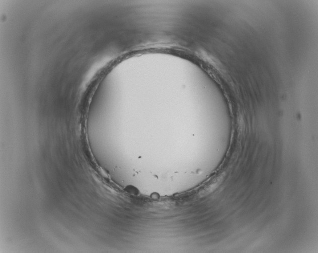 X0000070341406200607072001