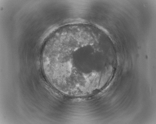 X0000070341407200607072001